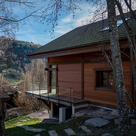 Chalet Fleur Des Vosges Chalet, Panorama Of *