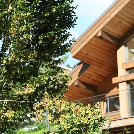 Chalet Fleur Des Vosges Chalet, Panorama Of La Bresse