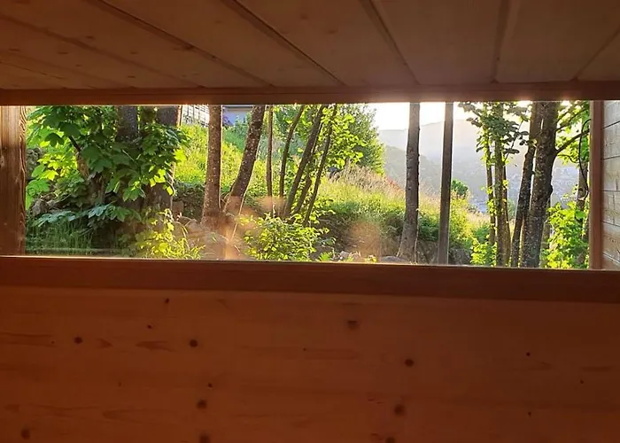 Fleur Des Vosges Chalet, Panorama Of *