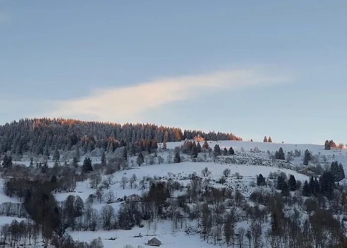Chalet Fleur Des Vosges Chalet, Panorama Of *