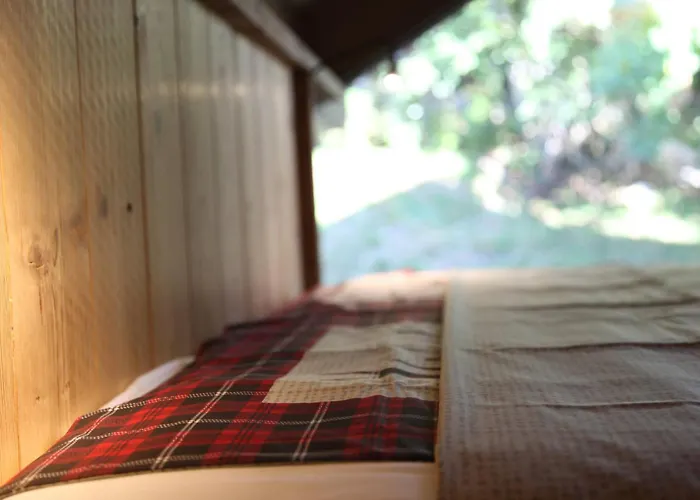 Fleur Des Vosges Chalet, Panorama Of *