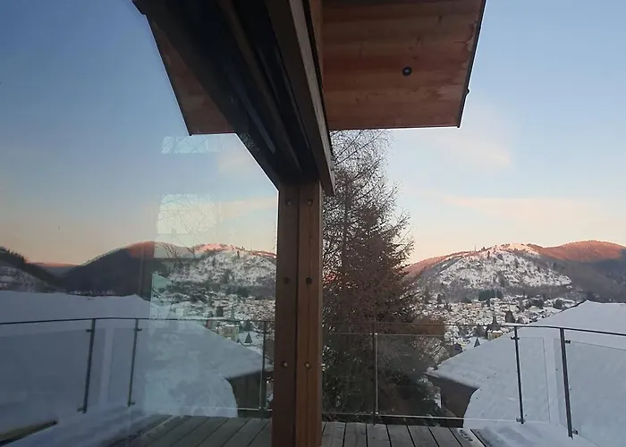 Fleur Des Vosges Chalet, Panorama Of Chalet *