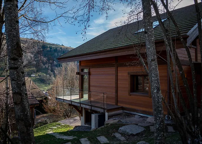 Chalet Fleur Des Vosges Chalet, Panorama Of *