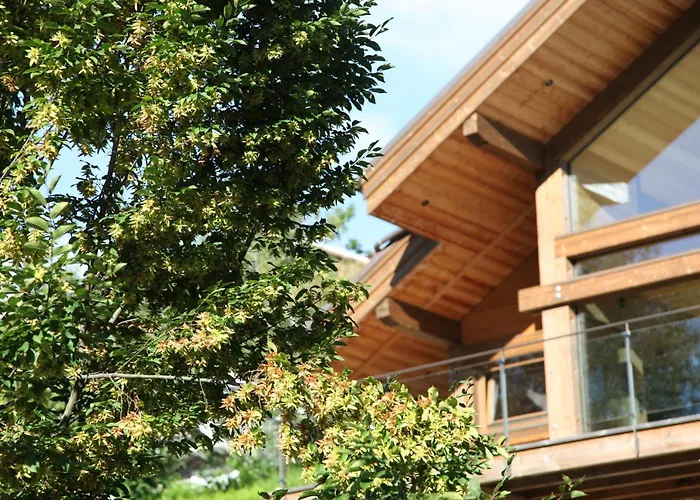 Chalet Fleur Des Vosges Chalet, Panorama Of La Bresse